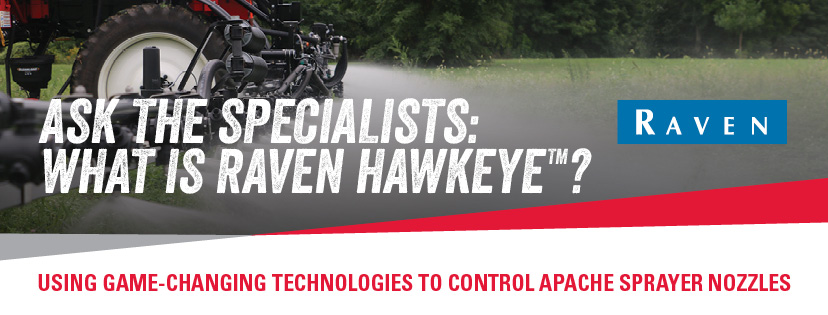 What Is Raven Hawkeye blog graphic